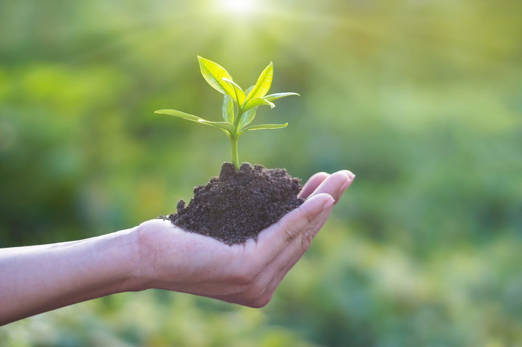 La fiscalità speciale in agricoltura